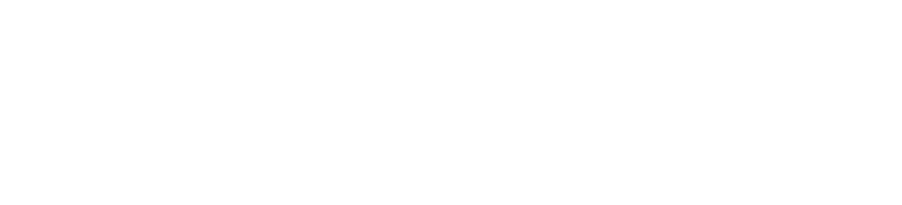 WordPress WordPress